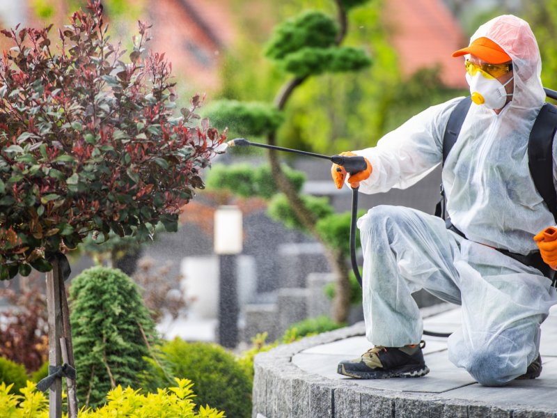 Sarıoğlan Haşere İlaçlama